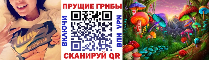 ОМГ ОМГ онион  сколько стоит  Ессентукская  Галлюциногенные грибы Psilocybine cubensis 